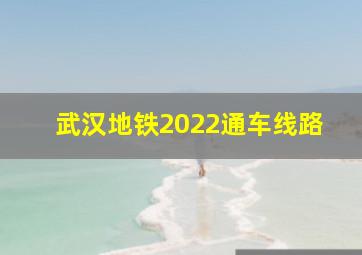 武汉地铁2022通车线路