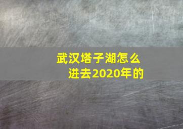 武汉塔子湖怎么进去2020年的