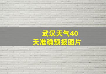 武汉天气40天准确预报图片