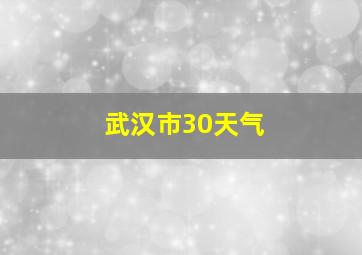 武汉市30天气