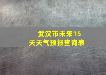 武汉市未来15天天气预报查询表