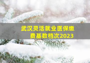 武汉灵活就业医保缴费基数档次2023