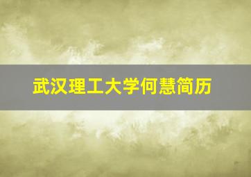 武汉理工大学何慧简历