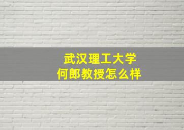 武汉理工大学何郎教授怎么样