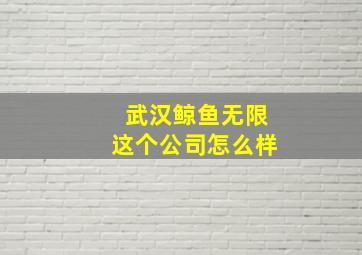 武汉鲸鱼无限这个公司怎么样