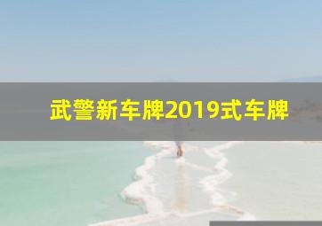 武警新车牌2019式车牌