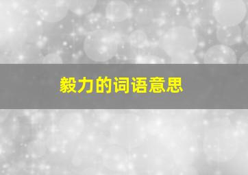 毅力的词语意思