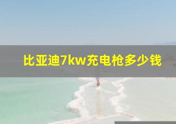 比亚迪7kw充电枪多少钱