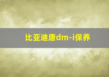 比亚迪唐dm-i保养