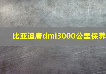 比亚迪唐dmi3000公里保养