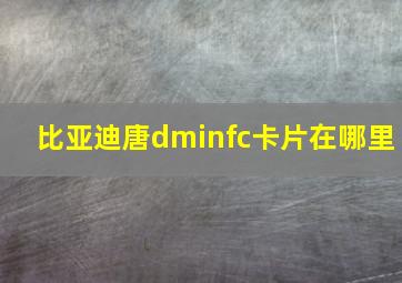 比亚迪唐dminfc卡片在哪里