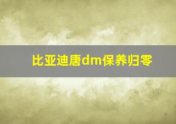 比亚迪唐dm保养归零