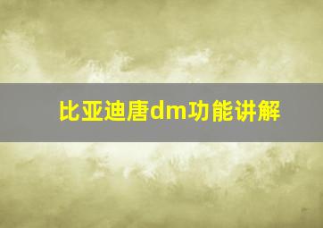 比亚迪唐dm功能讲解