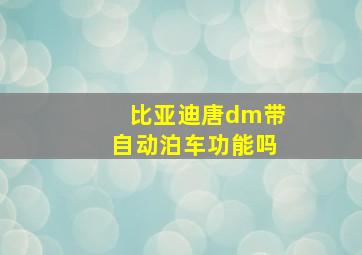 比亚迪唐dm带自动泊车功能吗