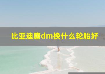 比亚迪唐dm换什么轮胎好