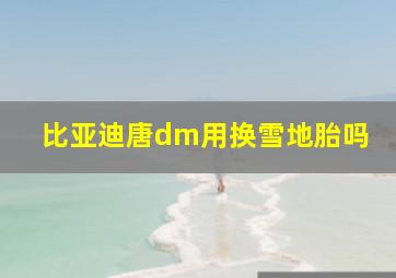 比亚迪唐dm用换雪地胎吗