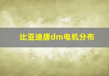 比亚迪唐dm电机分布