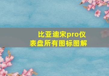 比亚迪宋pro仪表盘所有图标图解