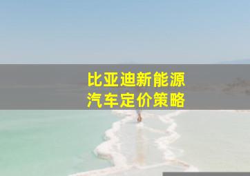 比亚迪新能源汽车定价策略