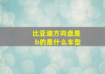 比亚迪方向盘是b的是什么车型