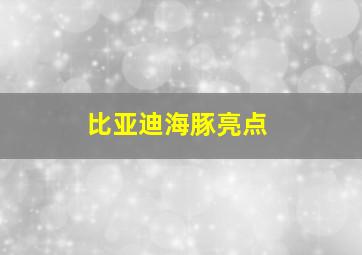 比亚迪海豚亮点