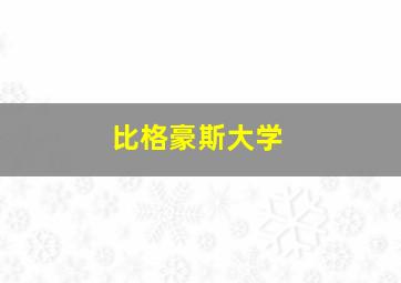 比格豪斯大学