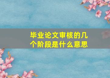 毕业论文审核的几个阶段是什么意思