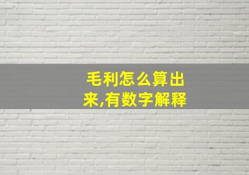 毛利怎么算出来,有数字解释