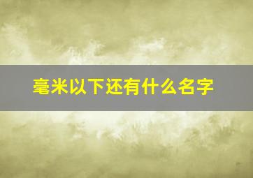 毫米以下还有什么名字