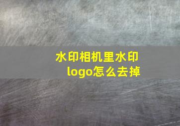 水印相机里水印logo怎么去掉