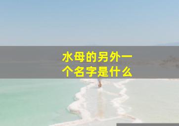 水母的另外一个名字是什么