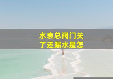 水表总阀门关了还漏水是怎