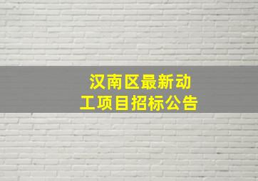 汉南区最新动工项目招标公告