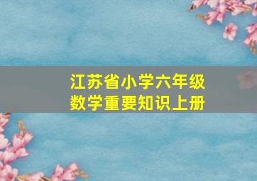 江苏省小学六年级数学重要知识上册