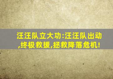 汪汪队立大功:汪汪队出动,终极救援,拯救降落危机!