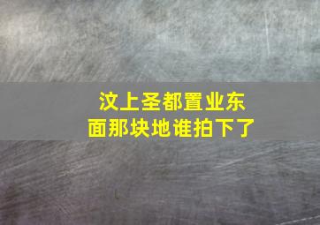 汶上圣都置业东面那块地谁拍下了