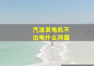 汽油发电机不出电什么问题