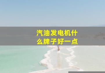 汽油发电机什么牌子好一点