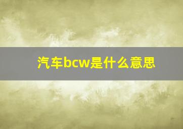 汽车bcw是什么意思