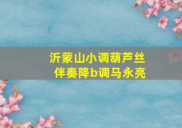 沂蒙山小调葫芦丝伴奏降b调马永亮