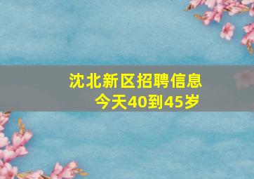 沈北新区招聘信息今天40到45岁