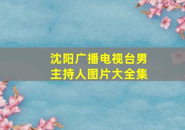 沈阳广播电视台男主持人图片大全集