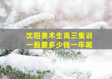 沈阳美术生高三集训一般要多少钱一年呢