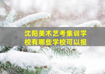 沈阳美术艺考集训学校有哪些学校可以报