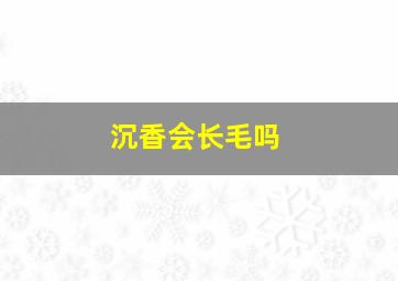 沉香会长毛吗