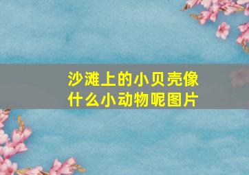 沙滩上的小贝壳像什么小动物呢图片