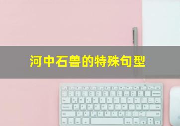 河中石兽的特殊句型