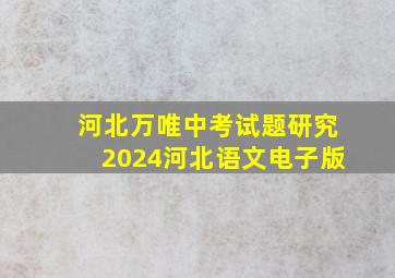 河北万唯中考试题研究2024河北语文电子版