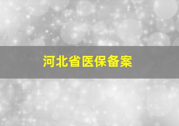 河北省医保备案