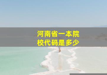 河南省一本院校代码是多少